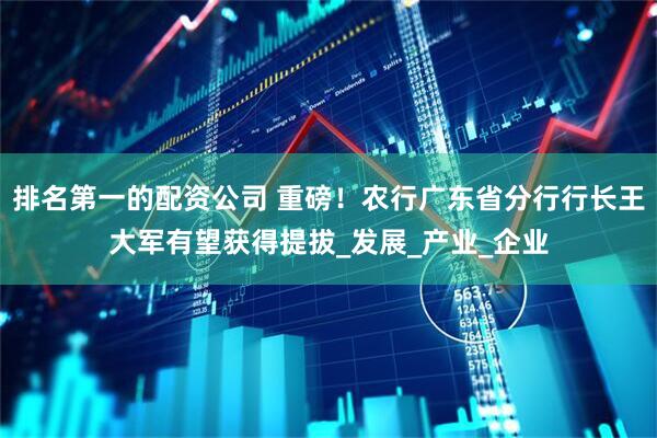 排名第一的配资公司 重磅！农行广东省分行行长王大军有望获得提拔_发展_产业_企业